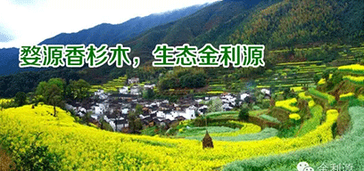 金利源板材/金品質(zhì) 源生態(tài).從源頭精挑細(xì)選，為品質(zhì)保駕護(hù)航——中國板材十大品牌品質(zhì)篇