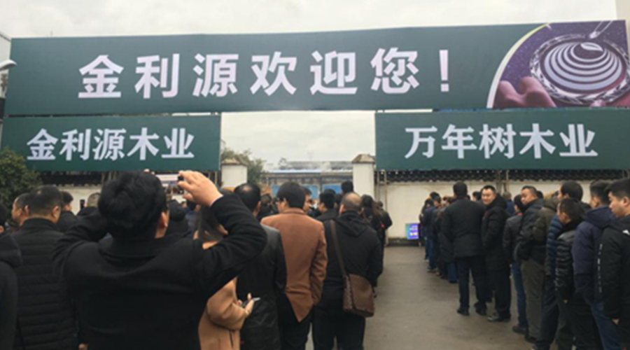 冬季的婺源，因金利源的到來(lái)美得不言而喻