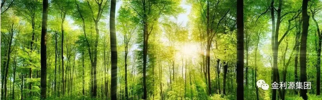 植樹節(jié) | 金利源帶你享受綠色家居生活！