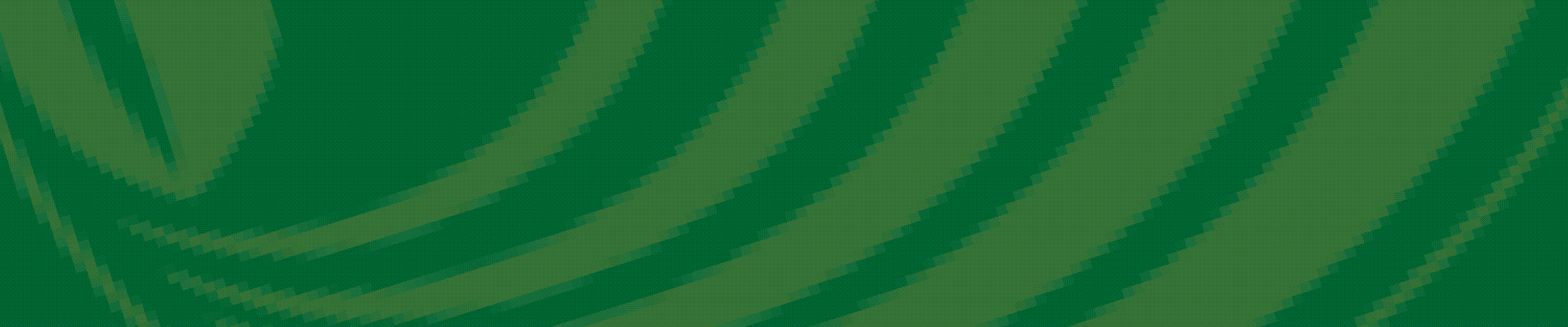 金.gif 金.gif