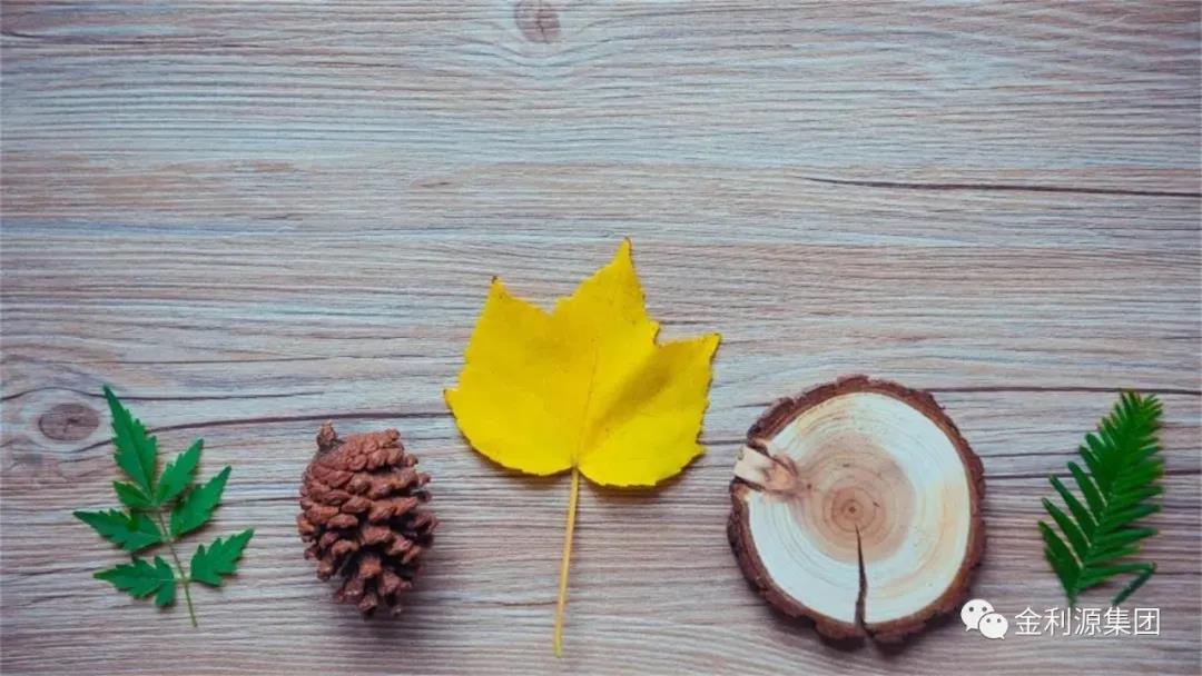 秋季地板 | 生活有“藝”思，地板是基調(diào)